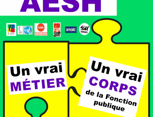 [Pétition] AESH : un vrai métier, un vrai corps de fonctionnaire