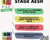 Stage AESH