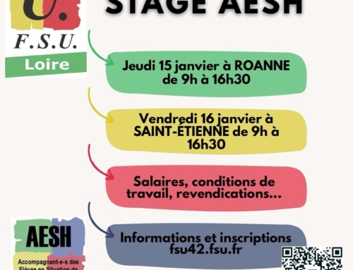 Stage « AESH » le 15 janvier à Roanne et le 16 janvier à Saint-Etienne