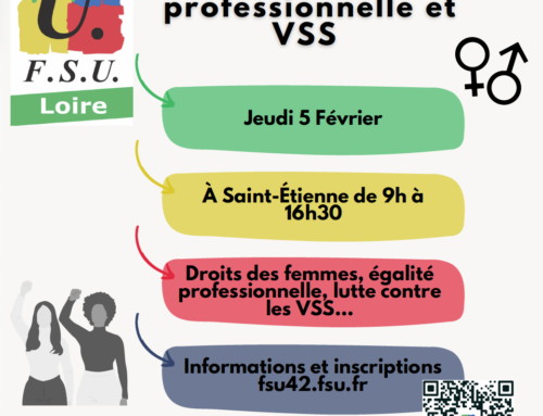 Stage « égalité professionnelle et VSS » le 5 février à Saint-Étienne