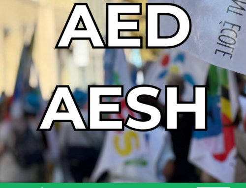 Le 16 décembre, AESH et AED mobilisé·es contre la précarité !